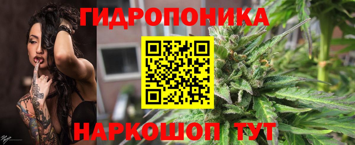 Марихуана Amnesia  Вход с VPN  Каннабис план  Краснознаменск 